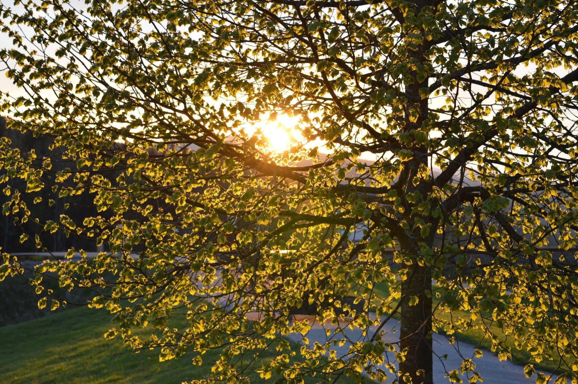 Wellness- Und Vitalhotel Boehmhof Боденмайс Экстерьер фото